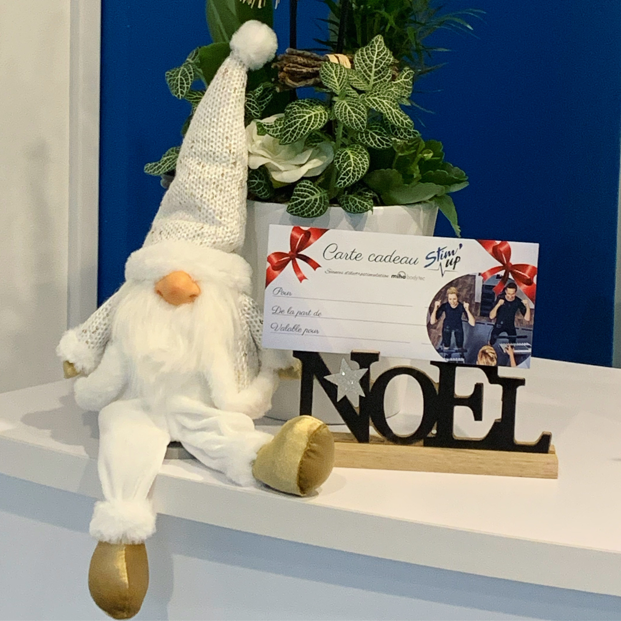 Les cartes cadeaux STIM'UP sont disponibles !